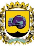 Громадська організація «Регіональна федерація боксу Донецької області»