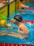 На чемпіонаті Європи з пара плавання в Португалії спортсмени Донеччини вибороли 31 нагороду