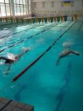 У Слов’янську пройшов чемпіонат Донецької області з плавання серед юніорів (північна зона)