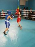 В Українську проведено відкриту першість з боксу